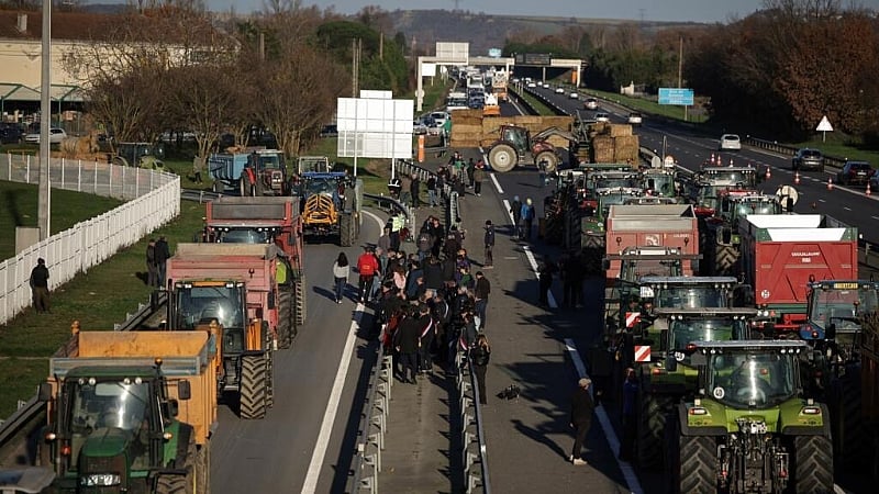 Farmers clash with police in southwest France over mass cattle culls and trade fears