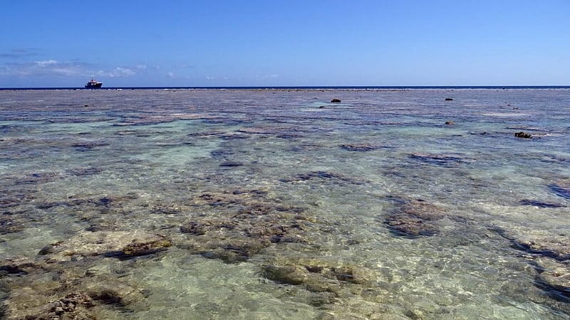 France rolls out 'strong protection' label for 63 marine areas