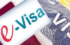 Government to introduce E-Visa system for diaspora in early 2026