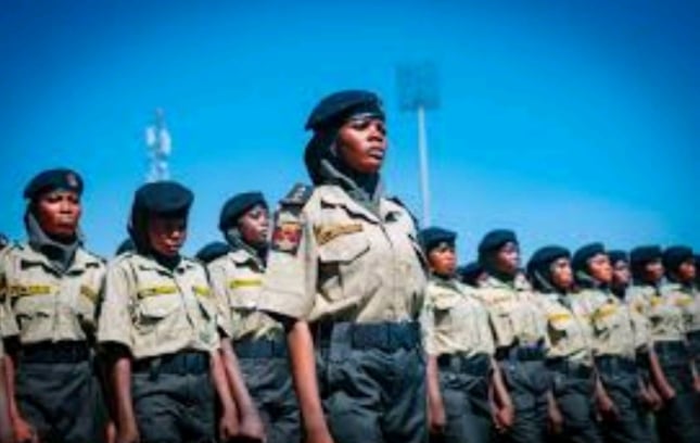 States That Created Their Own Security Forces: Their Role in Intelligence and the Challenges They Face in Nigeria