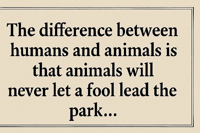 Natural Order vs. Human Political Disorder: A Call to Elect Wise Leaders in Ghana
