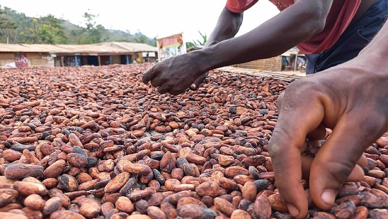 Profitable Opportunities, Challenges, and the Future of Farming