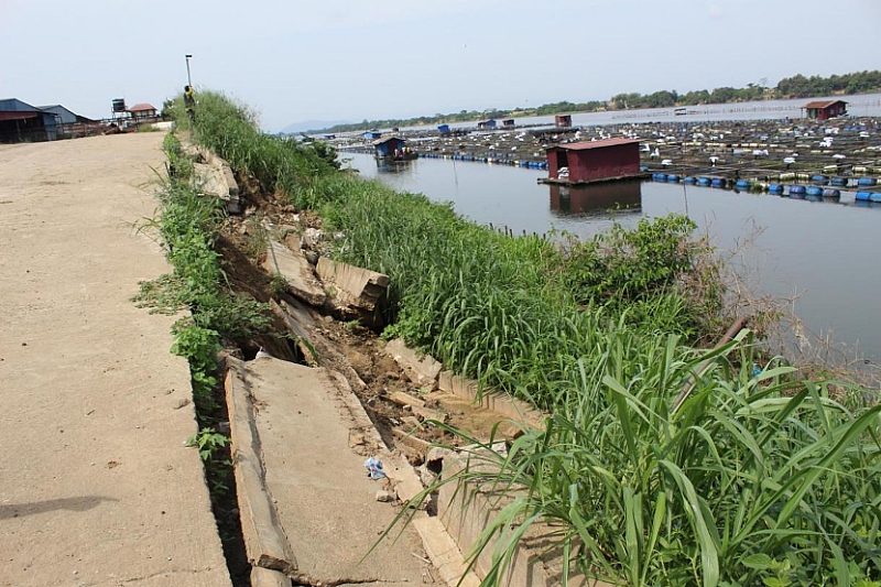 Tilapia prices go up after Akosombo Dam Spillage