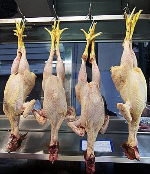 Eating Gobe on New Year's Day brings success, chicken is bad luck.