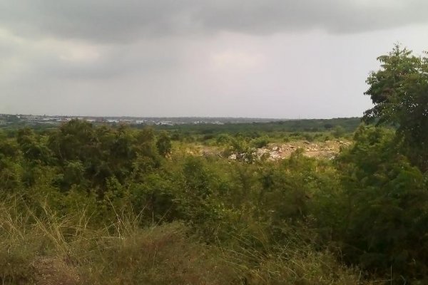 Gov't releases 200-acres of land back to La Stool
