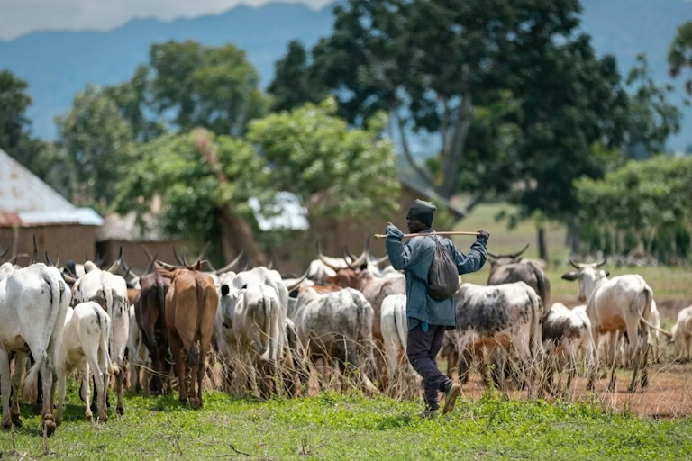 Africa’s drylands need the right kind of support – listening...
