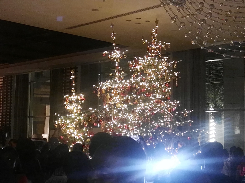 Kempinski Hotel Lights Up The Largest Christmas Tree To Herald Xmas Season