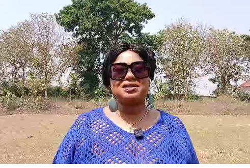 NPP race: Ban on proxy voting disenfranchises no one – NPP UK executive