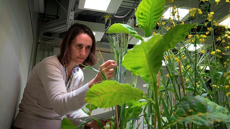 Parisa Rastin Employees at France's public research body up in arms over funding strategy