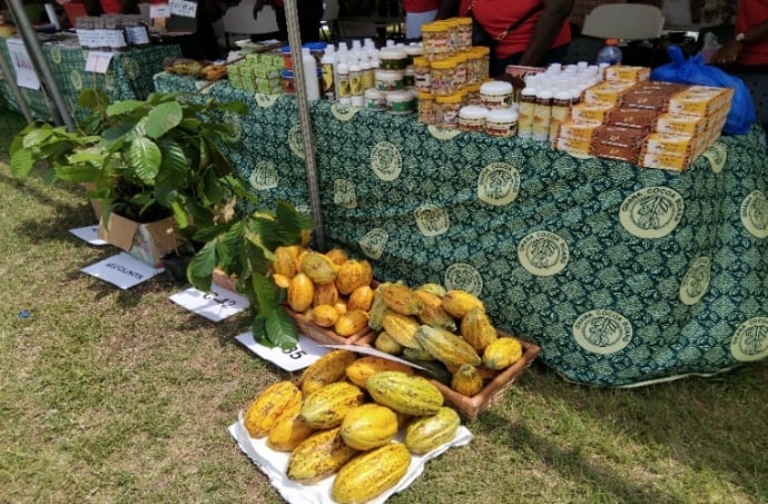 Ghanaian Farmers Reap Policy-Driven Actions