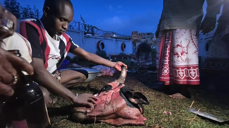 Madagascar's youth revive ancestral rites in search of identity