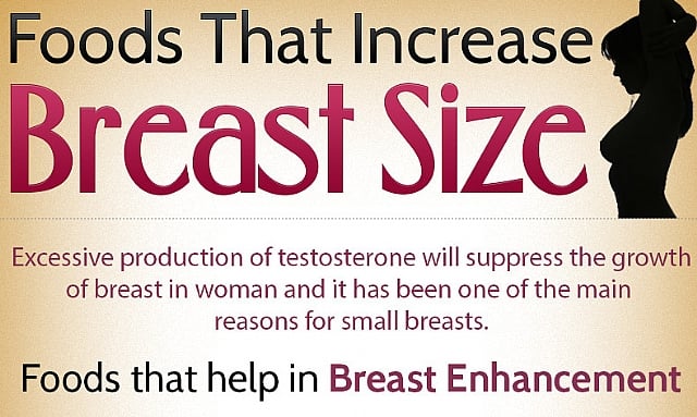 Foods That Increase Breast Size