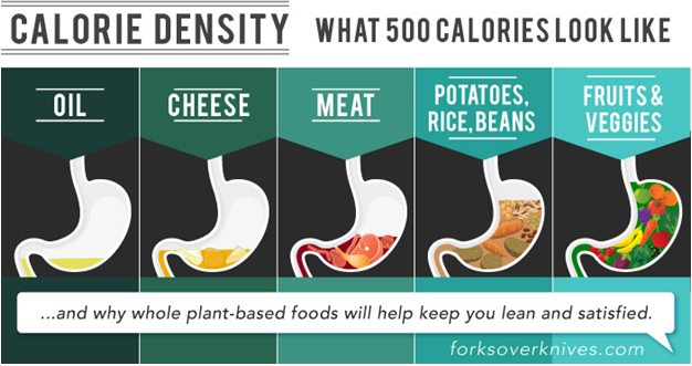 Calorie - Dense Vs Nutrient-Dense Foods………The Way Forward