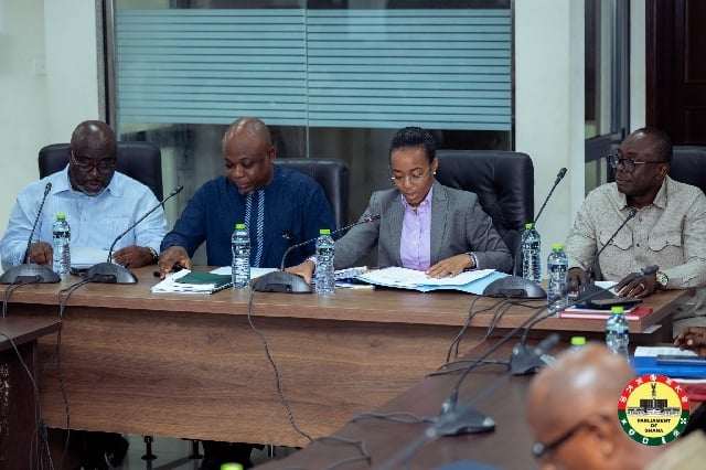 Parliament holds public hearing on Security and Intelligence...