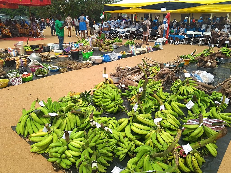 12.5 million Ghanaians still face food insecurity — GSS reve...