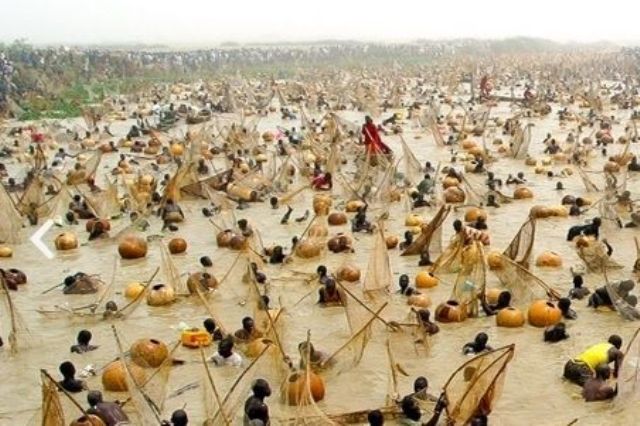 The Iconic Argungu Fishing Festival and the Shadow of Insecurity in North-West Nigeria