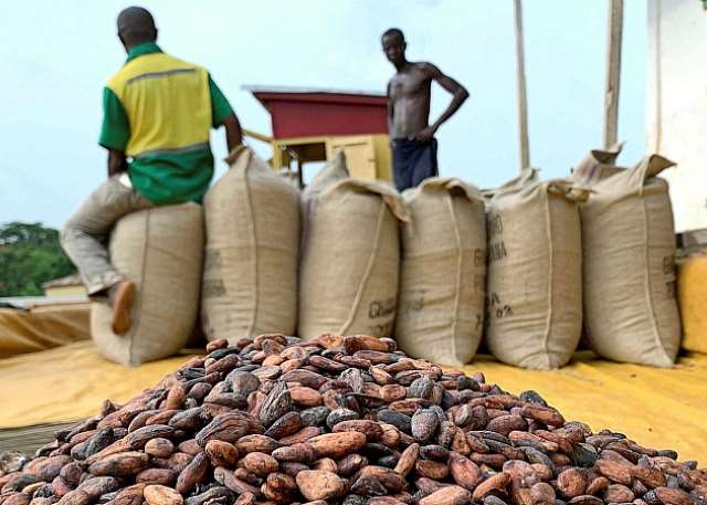 CFF-Ghana endorses cocoa reforms, calls for inclusive dialogue