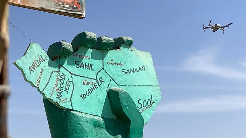 US can access Somaliland's minerals and military bases, says minister