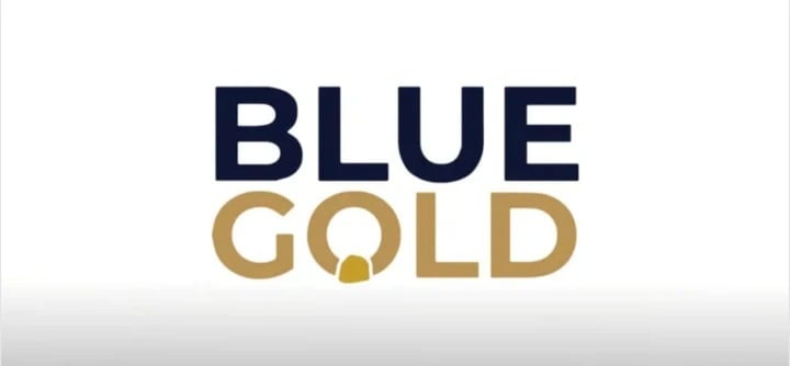 Cayman Court halts Blue Gold EGM over alleged shareholder rights breach