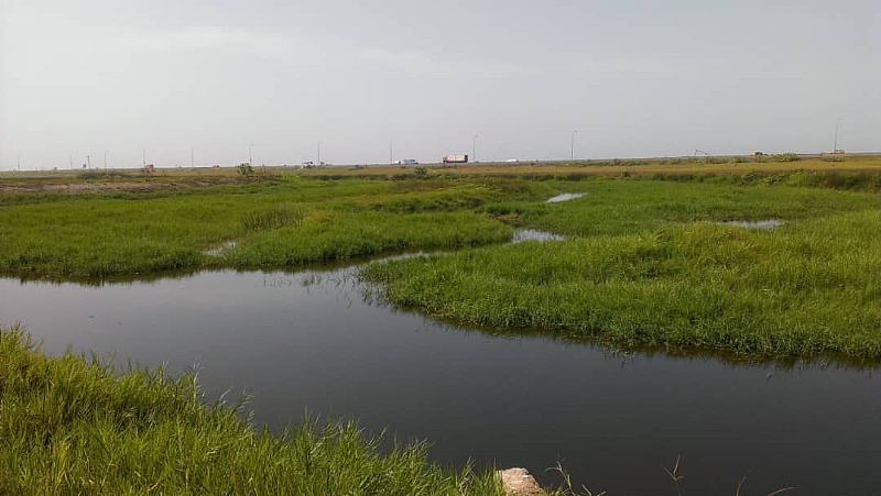 Ghana celebrates World Wetlands Day - Vimarsana News