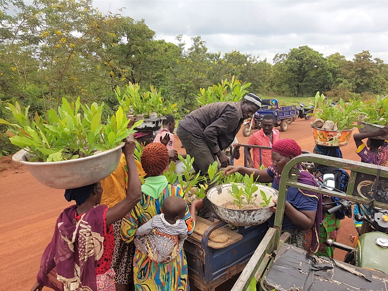 Greening agricultural produce for people and the planet: the story of a Social Entrepreneur in Ghana - Vimarsana News