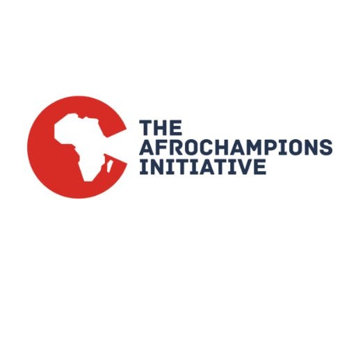 International Organisation To Support Ghanaian Entrepreneurs & Professionals