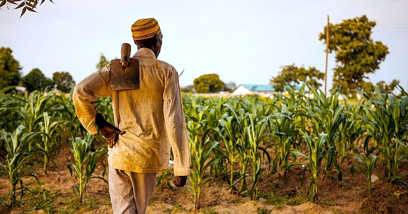 The Kind-hearted Farmer