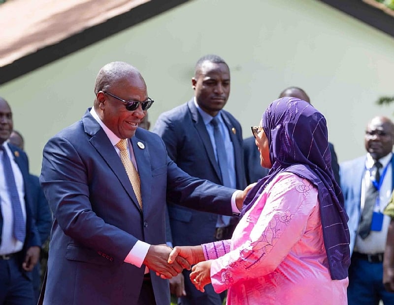 Mahama holds bilateral meeting with Tanzanian counterpart 