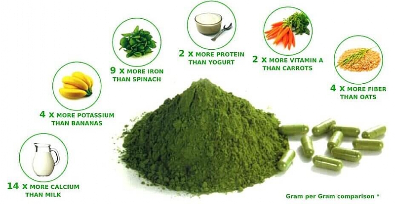 Spirulina Popular Treatment For Allergic Rhinitis Blood Pressure