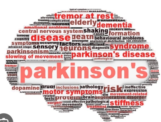 World Parkinson’s Day: Ghana’s Silent Struggle and the Way Forward