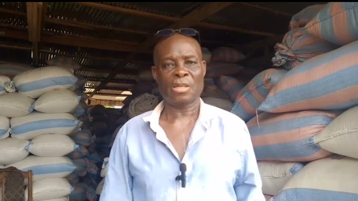 Rice farmers in distress as produce rot in Asutsuare amid market challenges