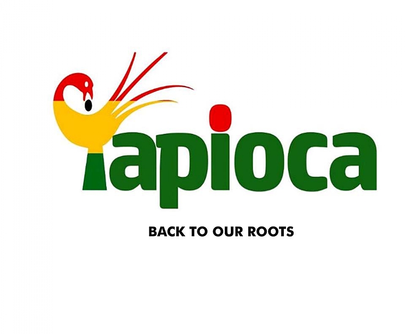 ADA set to host 2nd Tapioca Street Arts Festival
