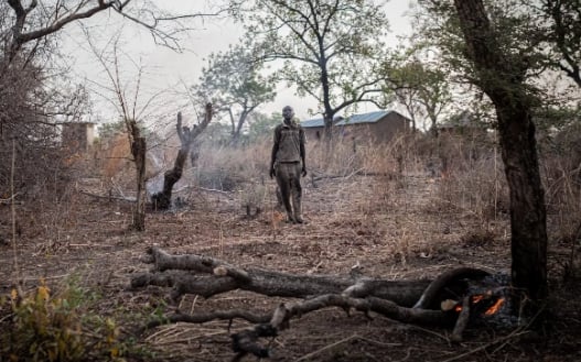 Insecurity in Northern Benin: Why Alibori and Atakora Are Increasingly Vulnerable