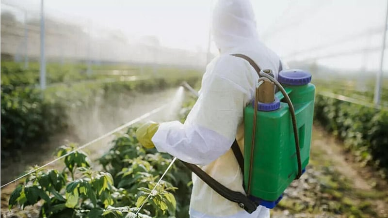 European Union still exporting banned pesticides despite health risks