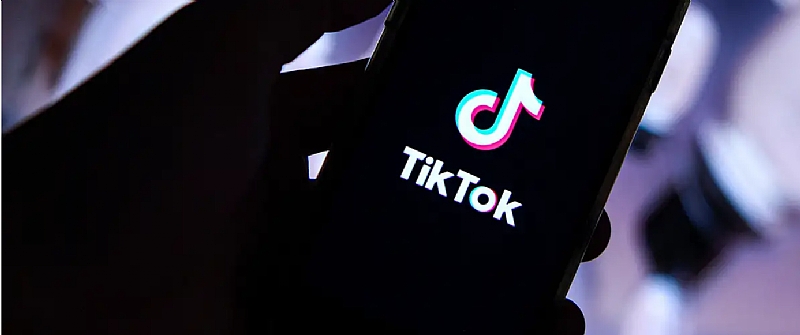 TikTok users in Ghana and Zimbabwe enjoy making fun of gover...