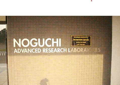 COVID-19: Noguchi Memorial Institute Tests 100,000 Samples — Prof Annan ...