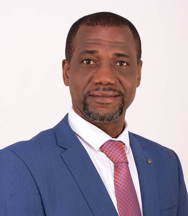 Bridging 2020 Election Petition -CI-99 Incompetence - Vimarsana News