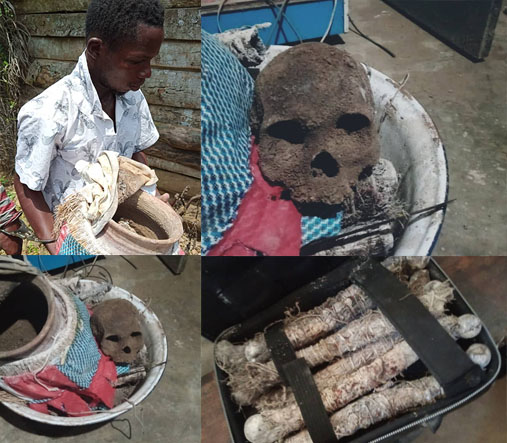 2 friends arrested with human bones - Vimarsana News