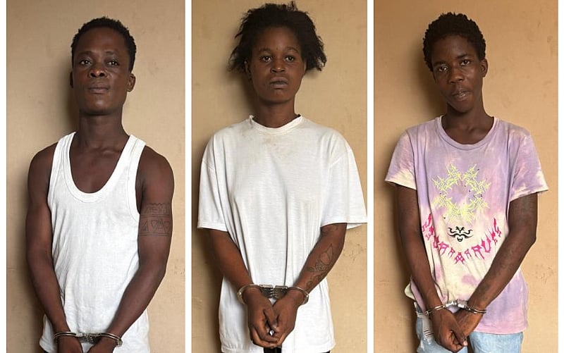 Three Sentenced to 19 Years for iPhone Theft in Ho