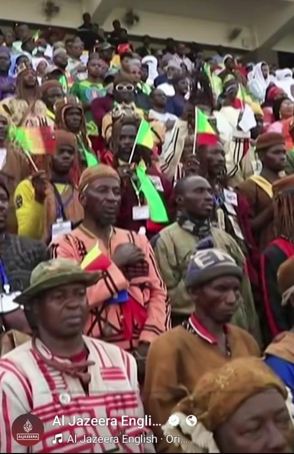 Mali in Crisis: Demonstrators Call on Civilians to Join the ...