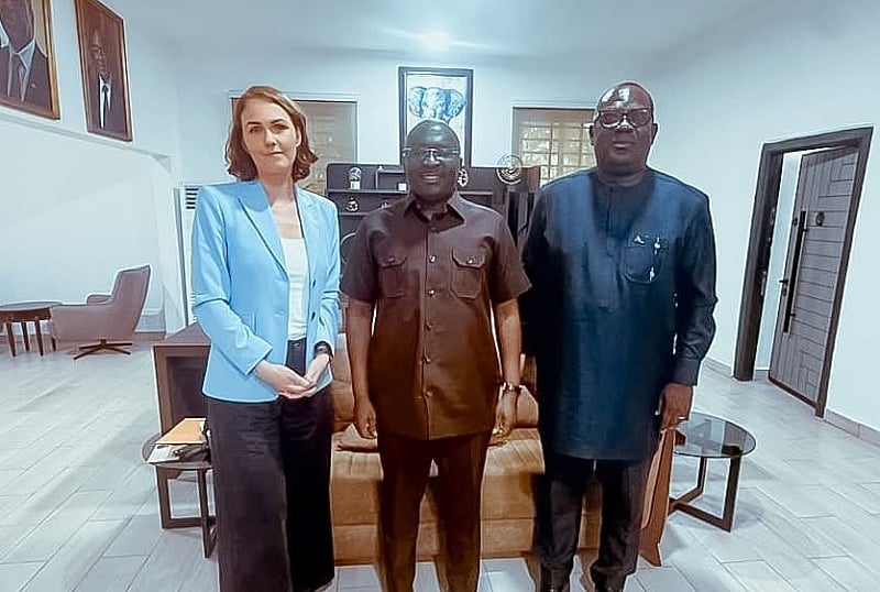 Bawumia engages Konrad Adenauer Foundation on governance and economic growth