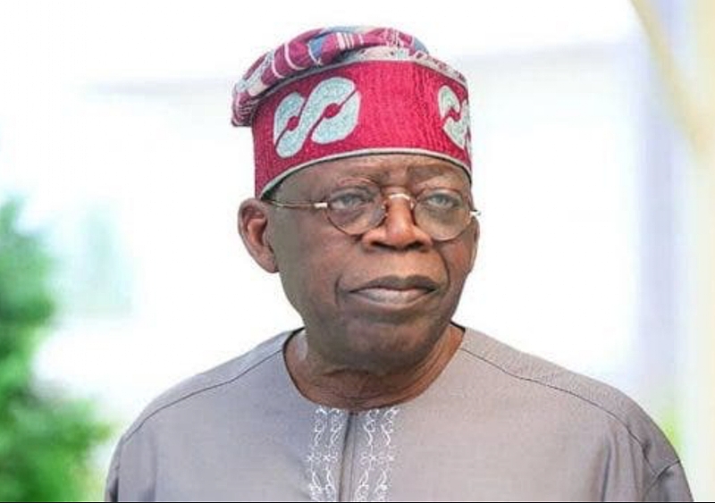 'Start with a clean slate, make public your assets, investments', SERAP tells Tinubu - Vimarsana News