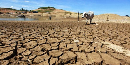 Ghana seeks over $53 billion to implement 10-year climate action plan 
