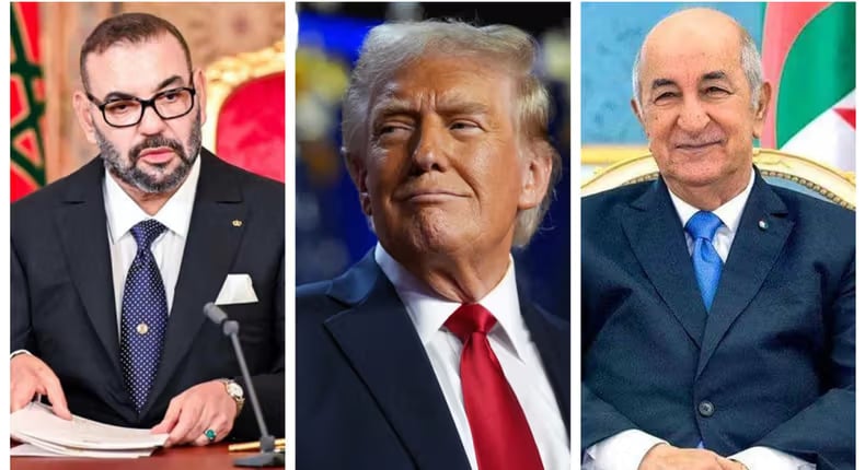 The Desert Time Bomb: Why America Is Suddenly Rushing to Stop a Morocco-Algeria War