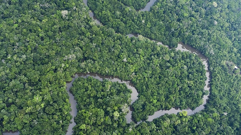 Deforestation in Brazil's Amazon slows to lowest level in six years