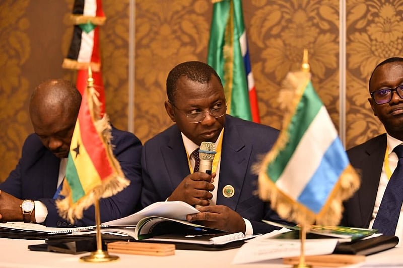 African rating agency long overdue – Dr Amin Adam - Vimarsana News