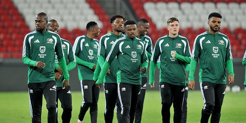 South Africa made to look like fools after World Cup visa issues, says minis