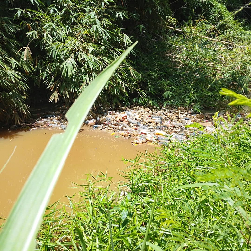 Sacred River Threatened: Task Force Warns of Pollution