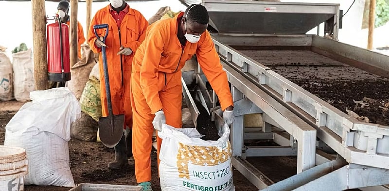 80% of Africa’s fertiliser is imported: how food systems can...