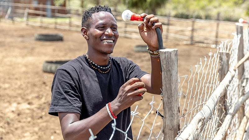 Lighting the way to protect Kenya's lions and the livestock t